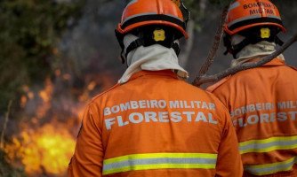 Período proibitivo do uso do fogo começa nesta terça-feira em Mato Grosso