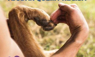 Exames trabalhistas realizados por doutora Sandra ajudam ONG Causa Animal em Quatro Marcos