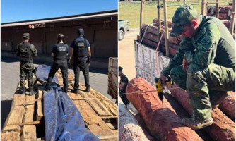 PF cerca rota do narcotráfico e investiga toneladas de cocaína ocultas em madeira na fronteira