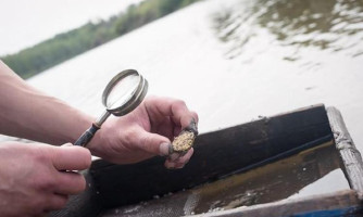 ANM autoriza pesquisa para identificar potencial de ouro em área entre Reserva do Cabaçal e Salto do Céu