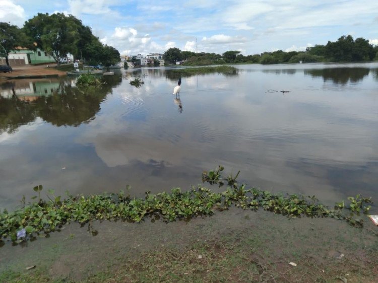Rio Paraguai mantém tendência de alta em Cáceres e nível das águas nesta quinta-feira é de 4.76 metros