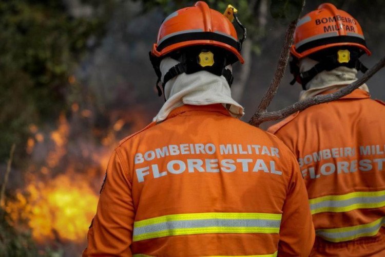 Período proibitivo do uso do fogo começa nesta terça-feira em Mato Grosso