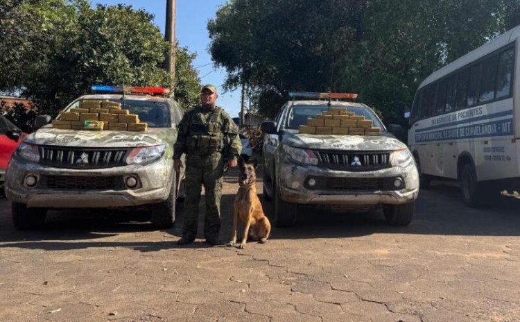 Micro-ônibus da saúde de Curvelândia é flagrado com 50 kg de cocaína em Várzea Grande
