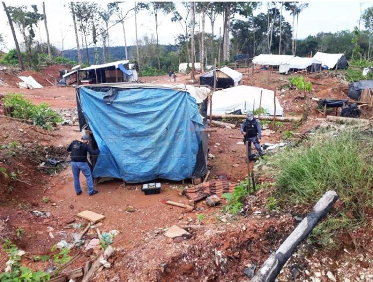 Alerta na Saúde Pública: avanço da malária em Mato Grosso está ligado à dispersão de garimpeiros ilegais