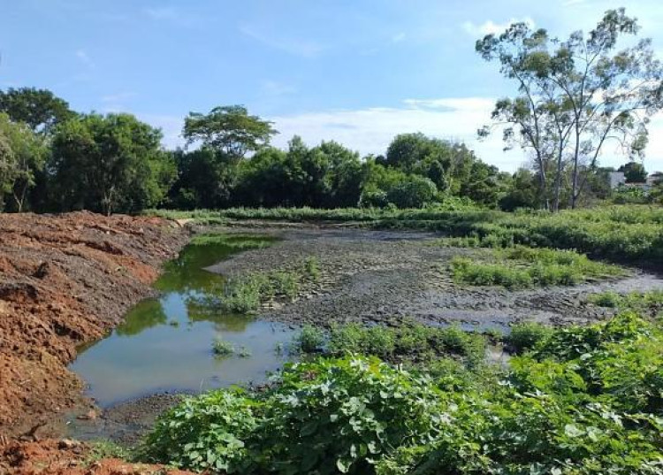 Estado reconhece emergência ambiental após contaminação de córrego em Mirassol D’Oeste