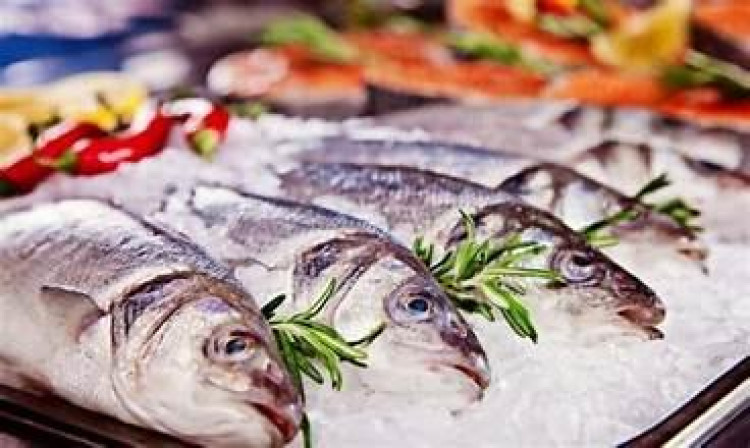 Prazo para declarar estoque de pescado termina na segunda-feira em Mato Grosso